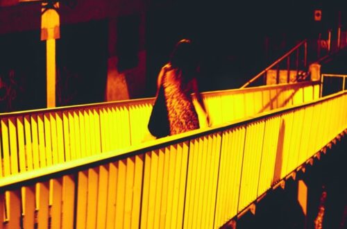 Pasarela.DAVID CAMPOS 2025