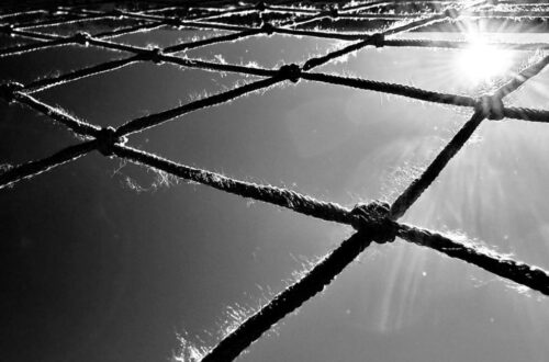 Portería.DAVID CAMPOS 2025