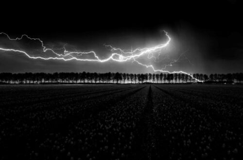 Tormenta.david campos 2025