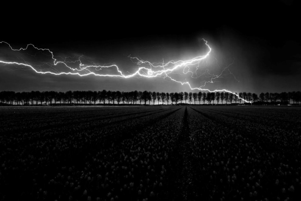 Tormenta.david campos 2025