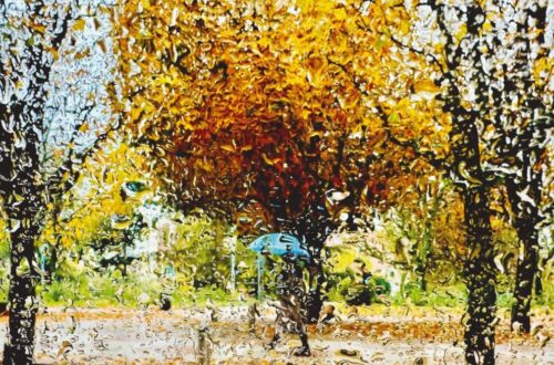 Persona bajo la lluvia.David Campos. 2025.