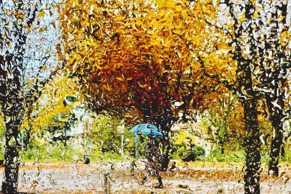 Persona bajo la lluvia.David Campos. 2025.